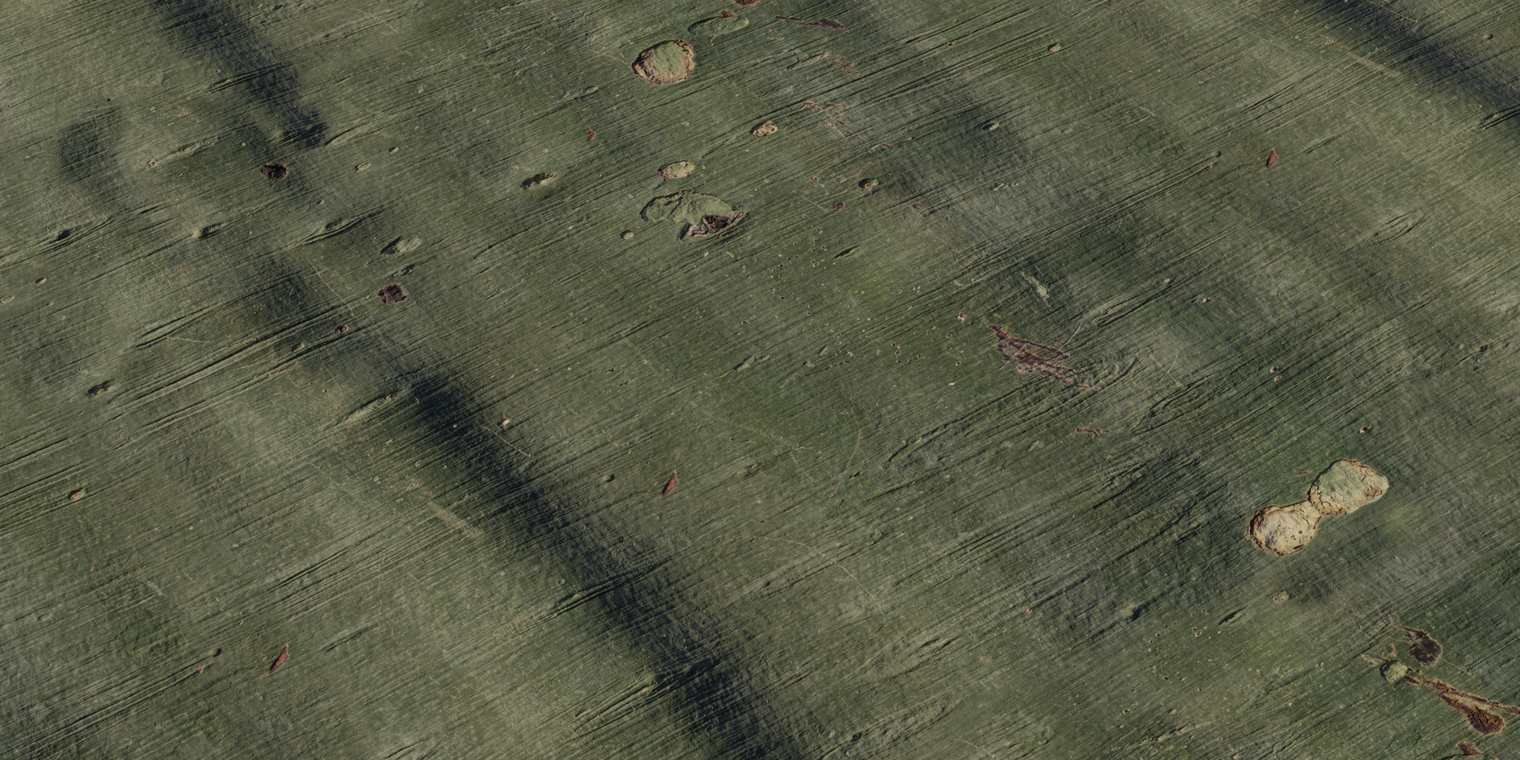 Free 8K texture of green fever tree bark: smooth, finely striated surface with peeled patches, small knots and scars, subtle satin sheen and tonal variation.