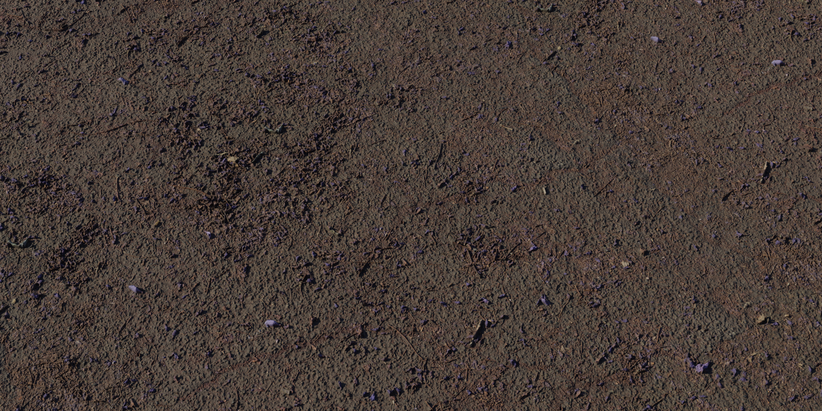 Flower Scattered Asphalt