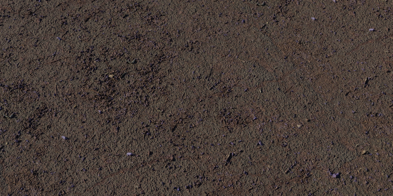 Free 8K texture of weathered asphalt with cracked, gritty surface scattered with purple flower petals, twigs and leaf litter, rough, matte and worn.