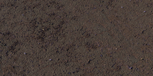 Flower Scattered Asphalt - Preview