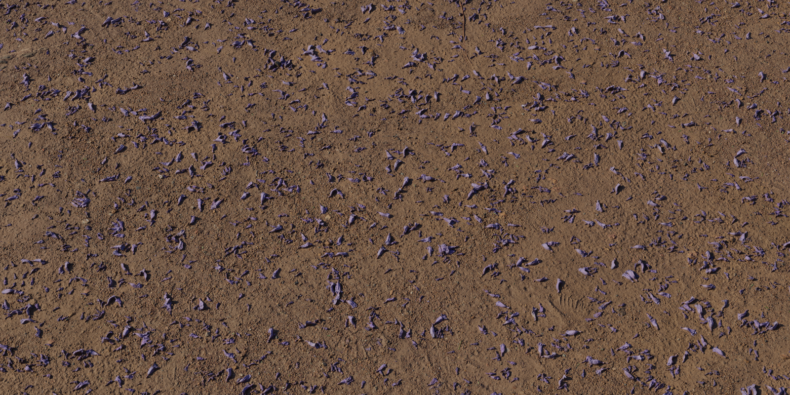 Flower Scattered Dirt