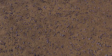 Flower Scattered Dirt - Preview