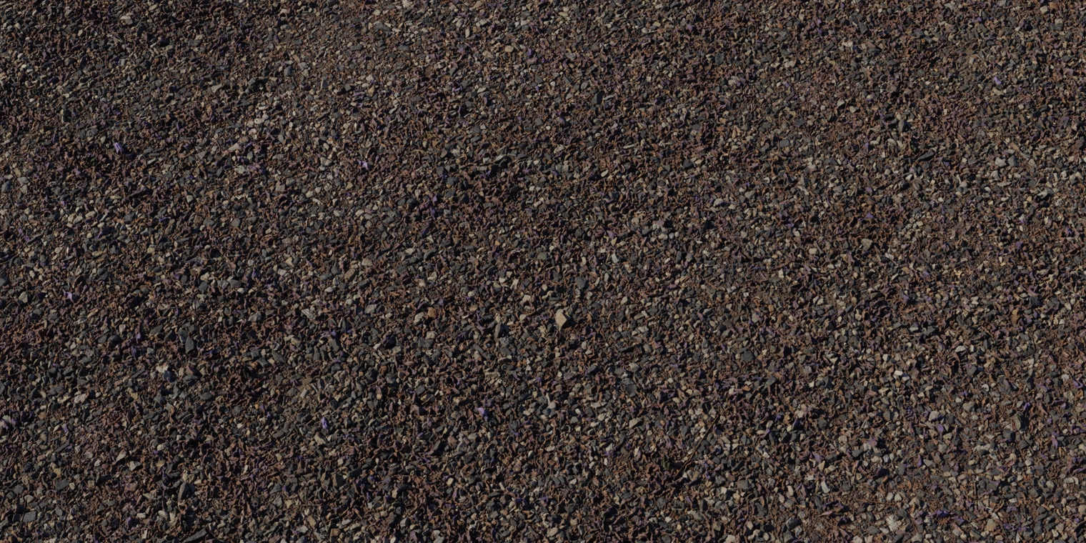 Free 8K texture of dark, gravelly ground with small angular stones and scattered purple flower petals and leaf debris; gritty, high-detail surface.