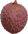 Food Lychee 01 - Preview
