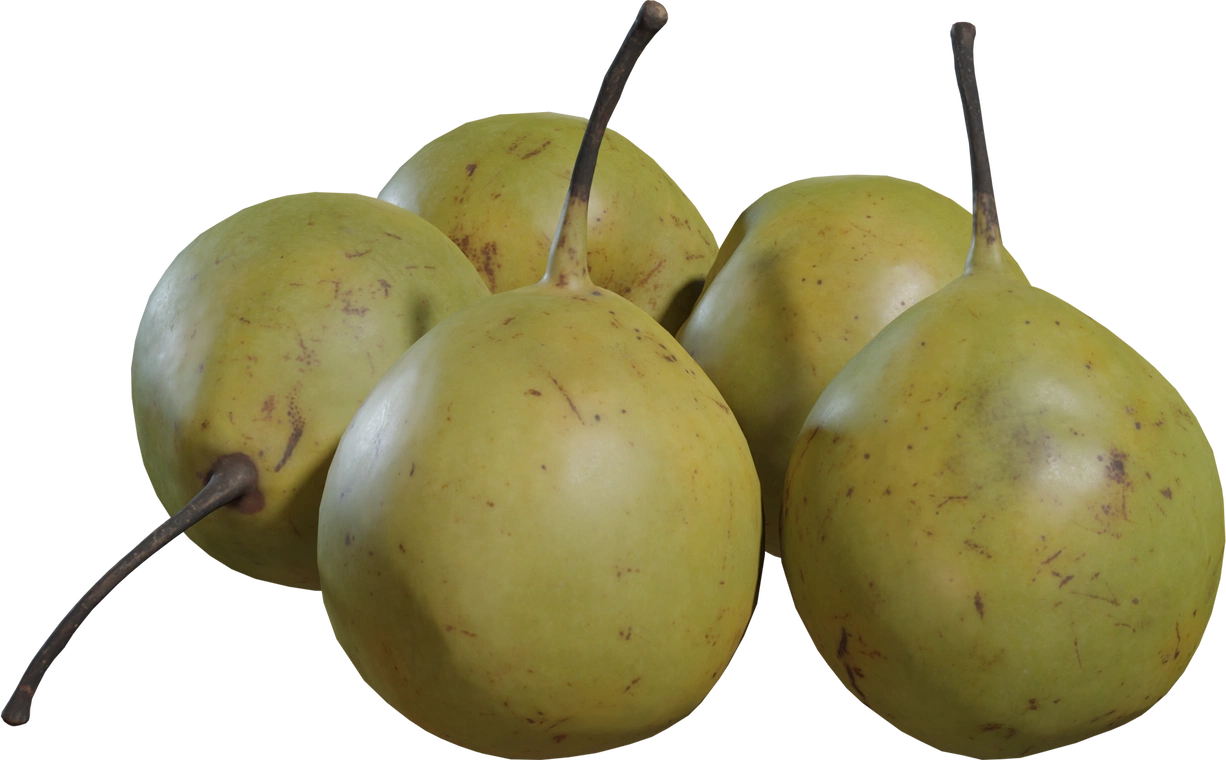 Free 8K model of Asian pears with realistic green-yellow skin, subtle blemishes, natural stems, and high-detail surface textures.