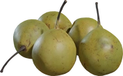 Pears Asian 01 - Preview