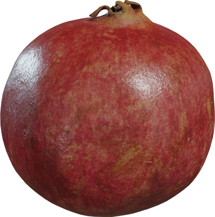 Free 8K model of a ripe pomegranate - photorealistic red mottled skin, subtle blemishes, glossy highlights and dried calyx detail.