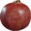 Food Pomegranate 01 - Preview