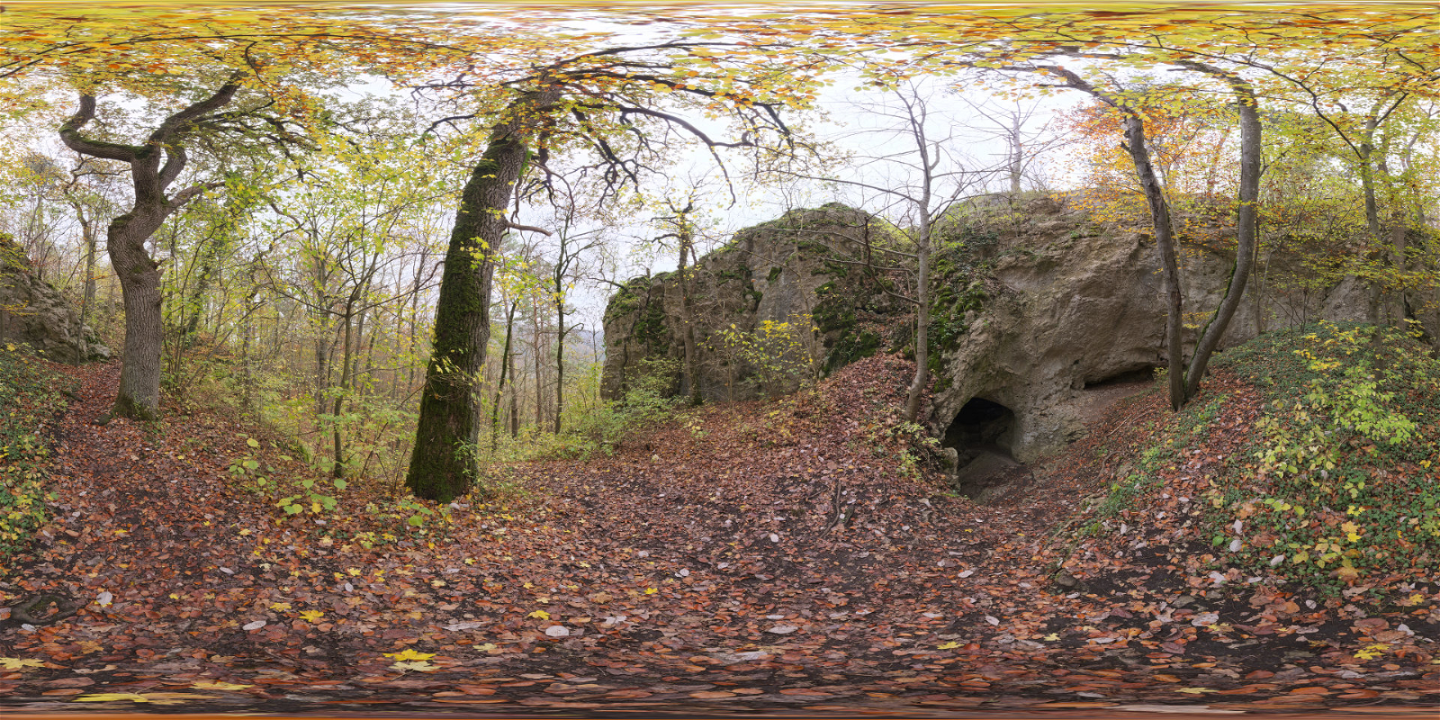 HDRI – Forest Cave – nature - thumbnail 1