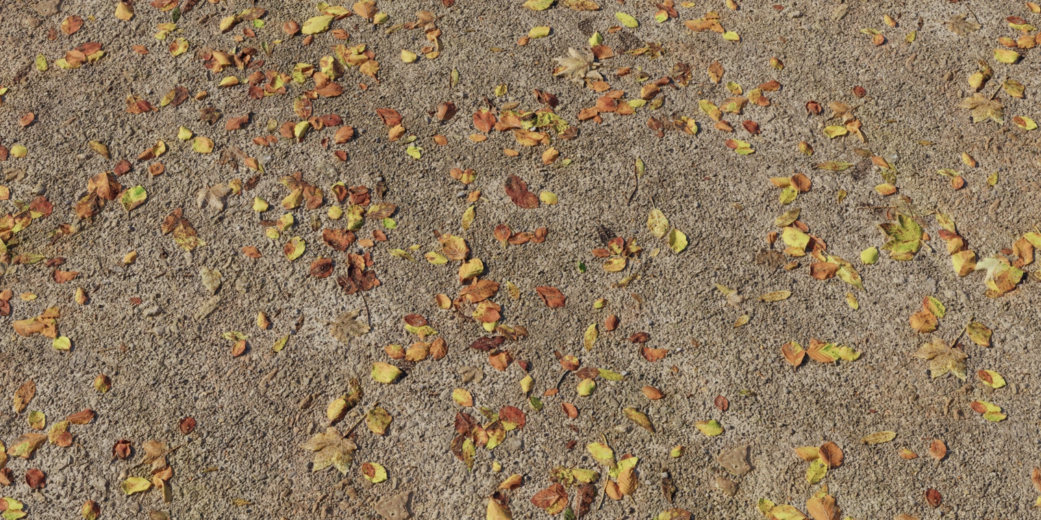 Free 8K texture of a dry forest floor: sandy dirt and mud with rough granular surface, scattered yellow and brown autumn leaves, twigs and debris.