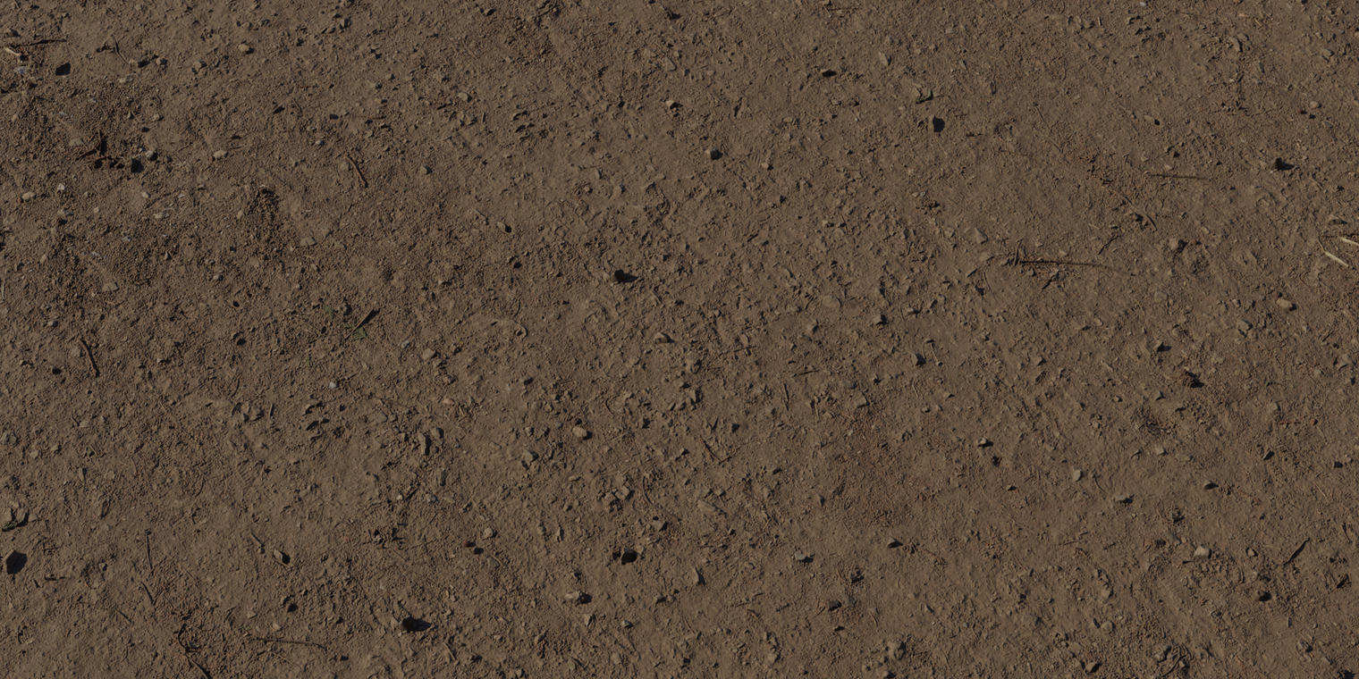 Free 16K texture of compact forest soil: dark brown earth with fine grit, small stones and faint leaf fragments, slightly damp, subtle roughness and variation.