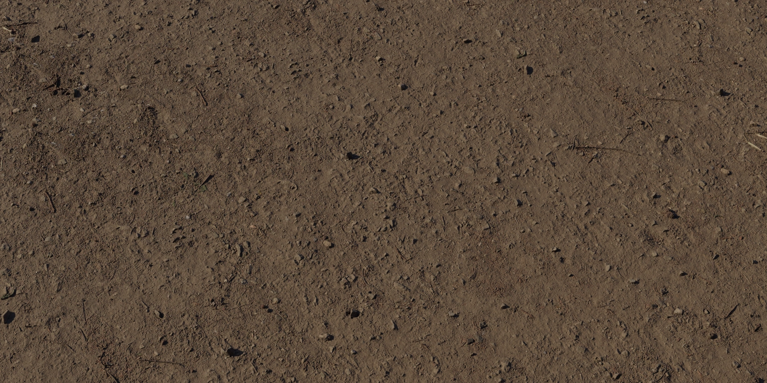 Free 16K texture of compact forest soil: dark brown earth with fine grit, small stones and faint leaf fragments, slightly damp, subtle roughness and variation.