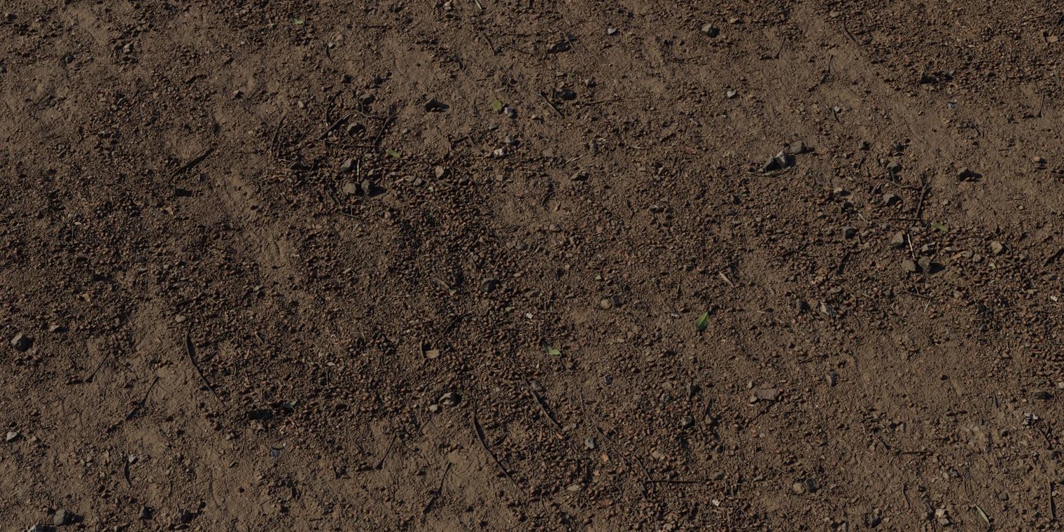 Free 8K forest ground texture with compacted dark soil, scattered pebbles, twigs and leaf flecks, subtle damp sheen and varied roughness.