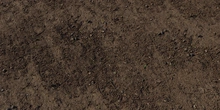 Forest Ground 06 - Preview