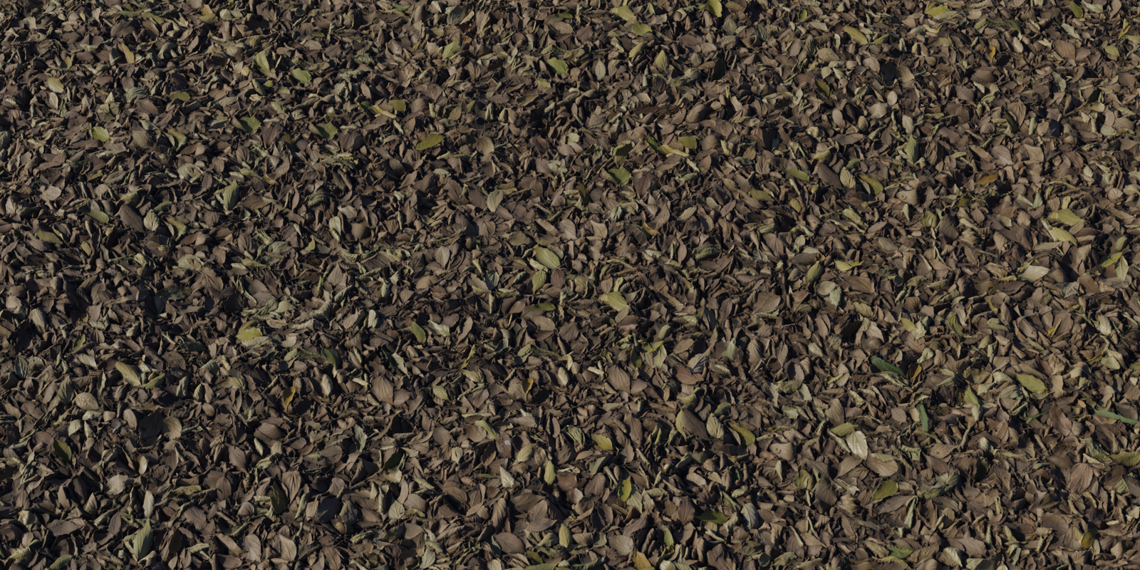 Forest Leaves 03