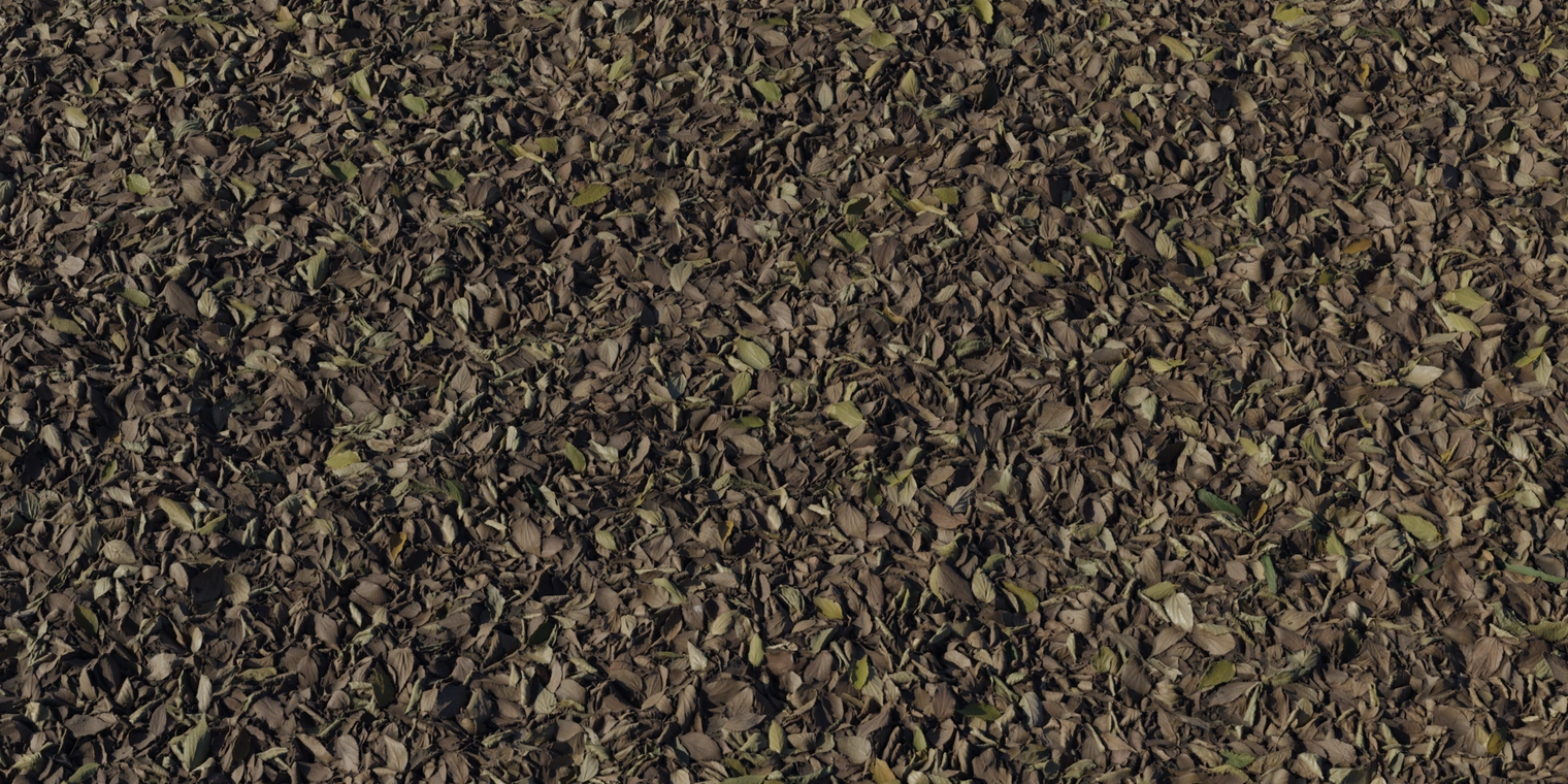 Free 8K texture of dense dry forest leaf litter - brown, yellow and green curled leaves with dirt and debris, rough matte surface and pronounced depth.