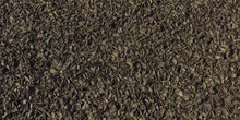 Forest Leaves 03 - Preview