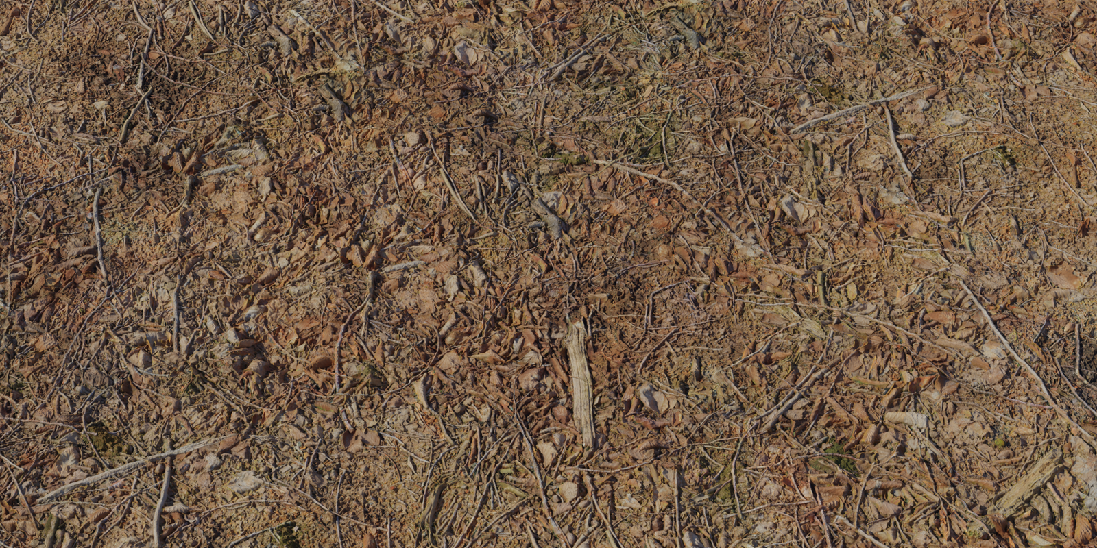 Forest Leaves 04