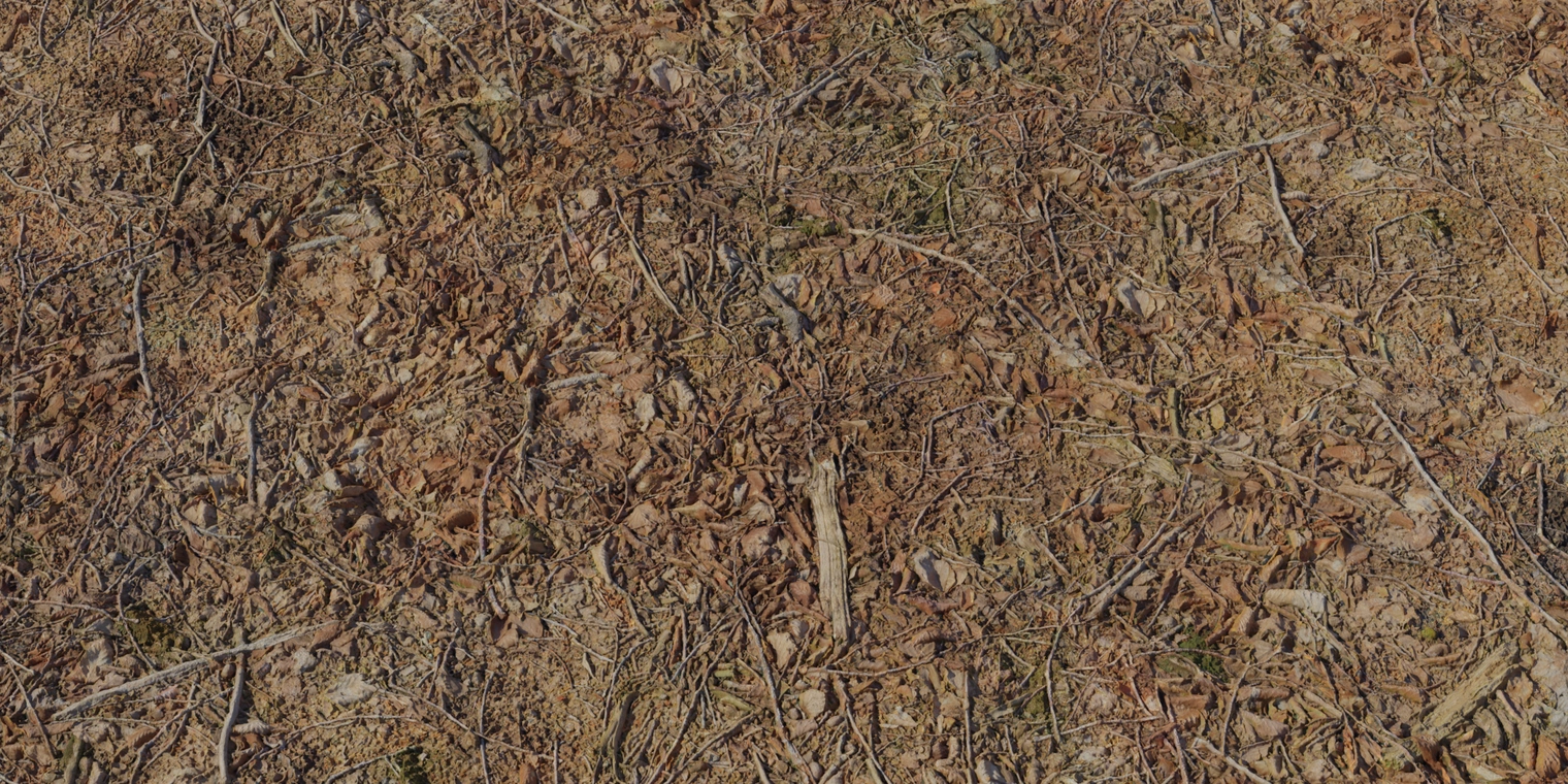 Free 8K texture of dry autumn forest floor: brown leaves, sticks and twigs over dirt with detailed surface relief, roughness and subtle mossy debris.