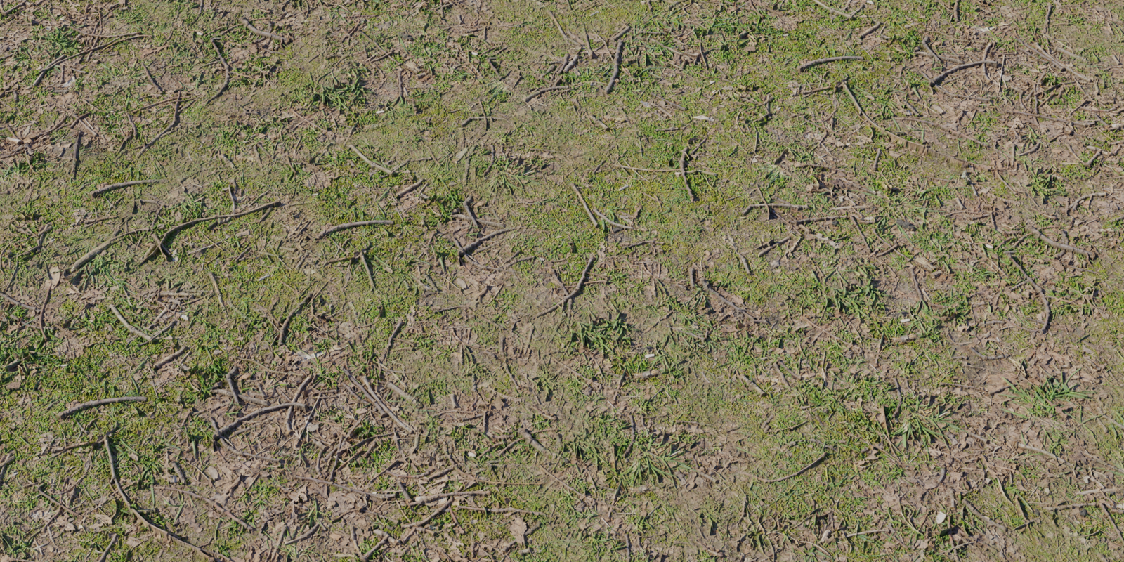 Forest Ground 01
