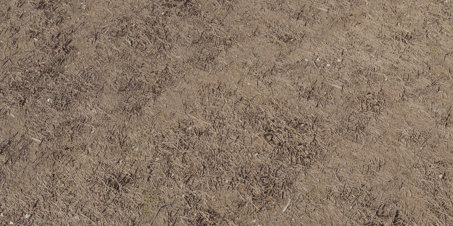 Free 8K texture of a dry forest floor with compact soil, fallen pine needles, leaf litter and twigs; rough, fibrous surface and muted brown tones.