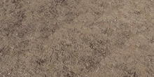Forest Ground 03 - Preview