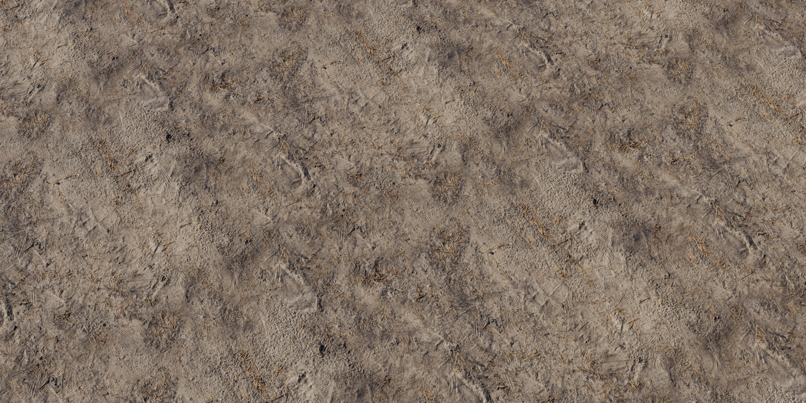 Forest Sand 01