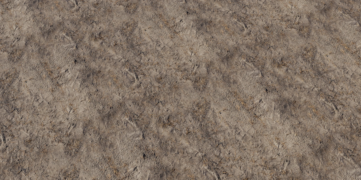Free 8K texture showing forest sand: granular sandy soil with compacted patches, scattered pine needles, twigs and organic litter, low sheen, earthy browns.
