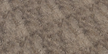 Forest Sand 01 - Preview
