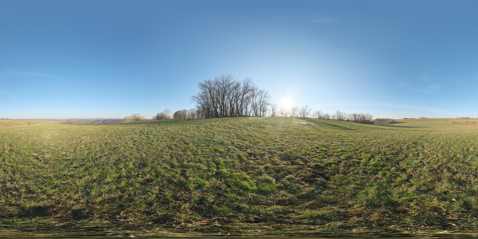 Free 20K unclipped HDRI: clear, high-contrast scene with a low sun over a grassy field and bare trees, yielding warm directional light and a cool blue sky.