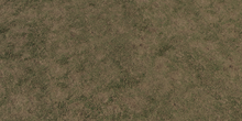 Grass Ground - Preview