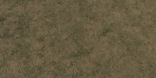 Grass Ground - Preview