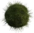 Grass Medium 01 - Preview