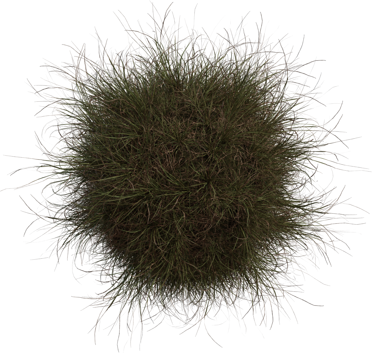 Grass Medium 02