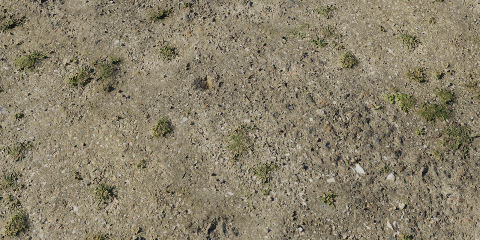 Grass Path 2