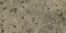 Grass Path 2 - Preview