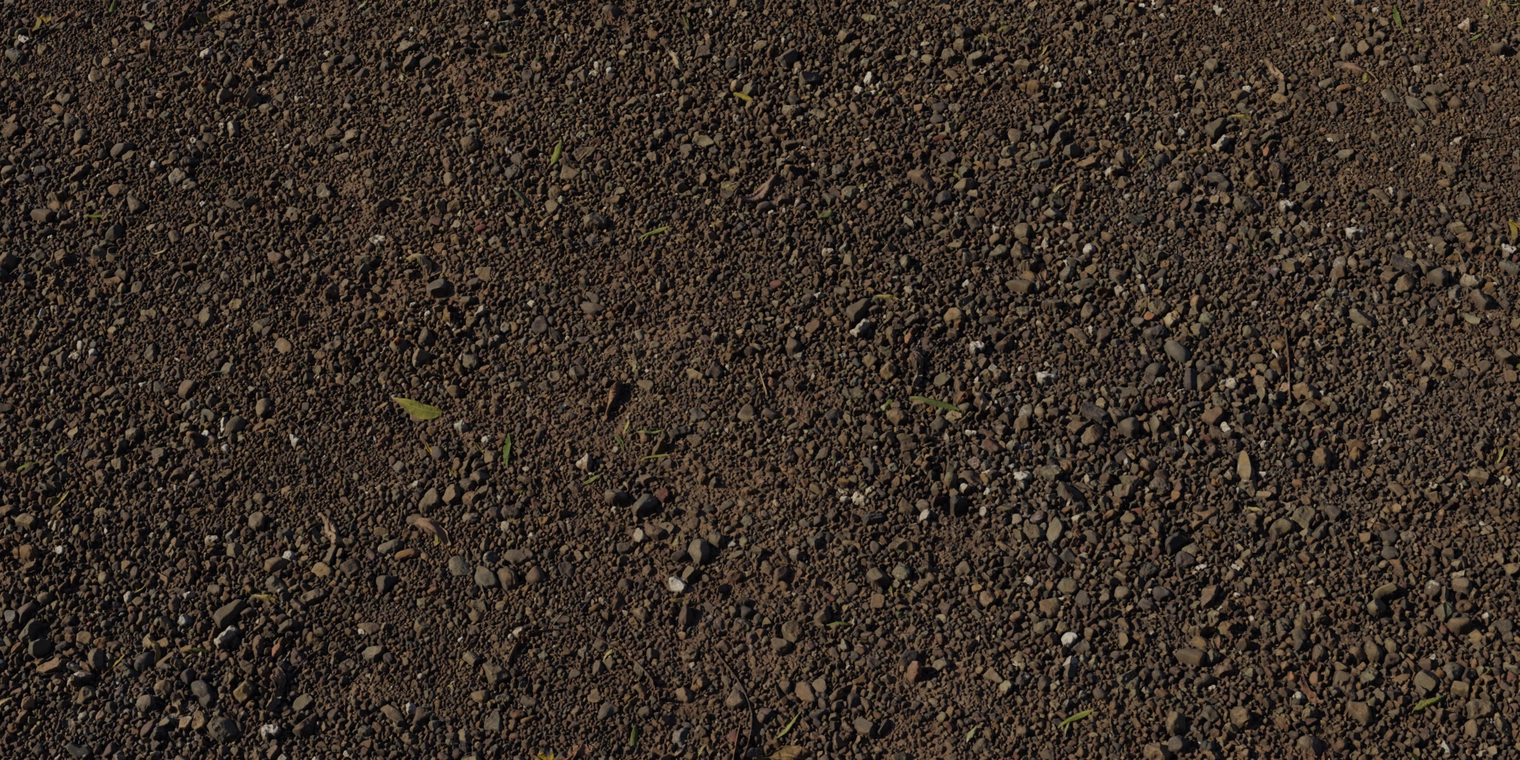 Free 8k gravel texture of dark, compacted driveway stones with mixed pebbles, dirt, scattered leaves and bits of plant debris.