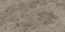 Grey Plaster 02 - Preview