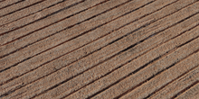 Grooved Concrete Driveway - Preview