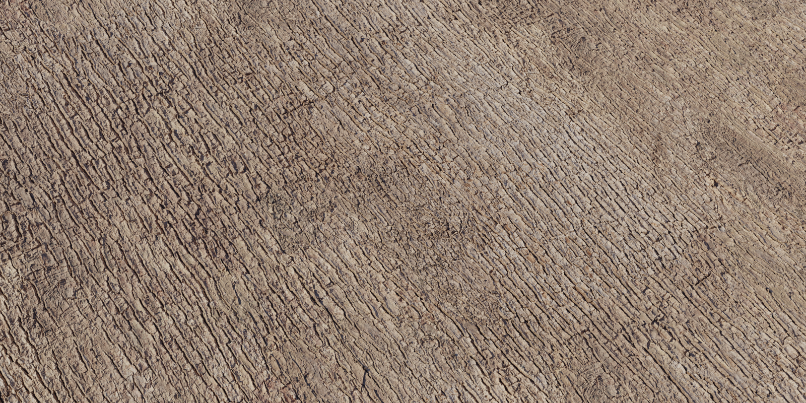 Japanese Camphor Bark