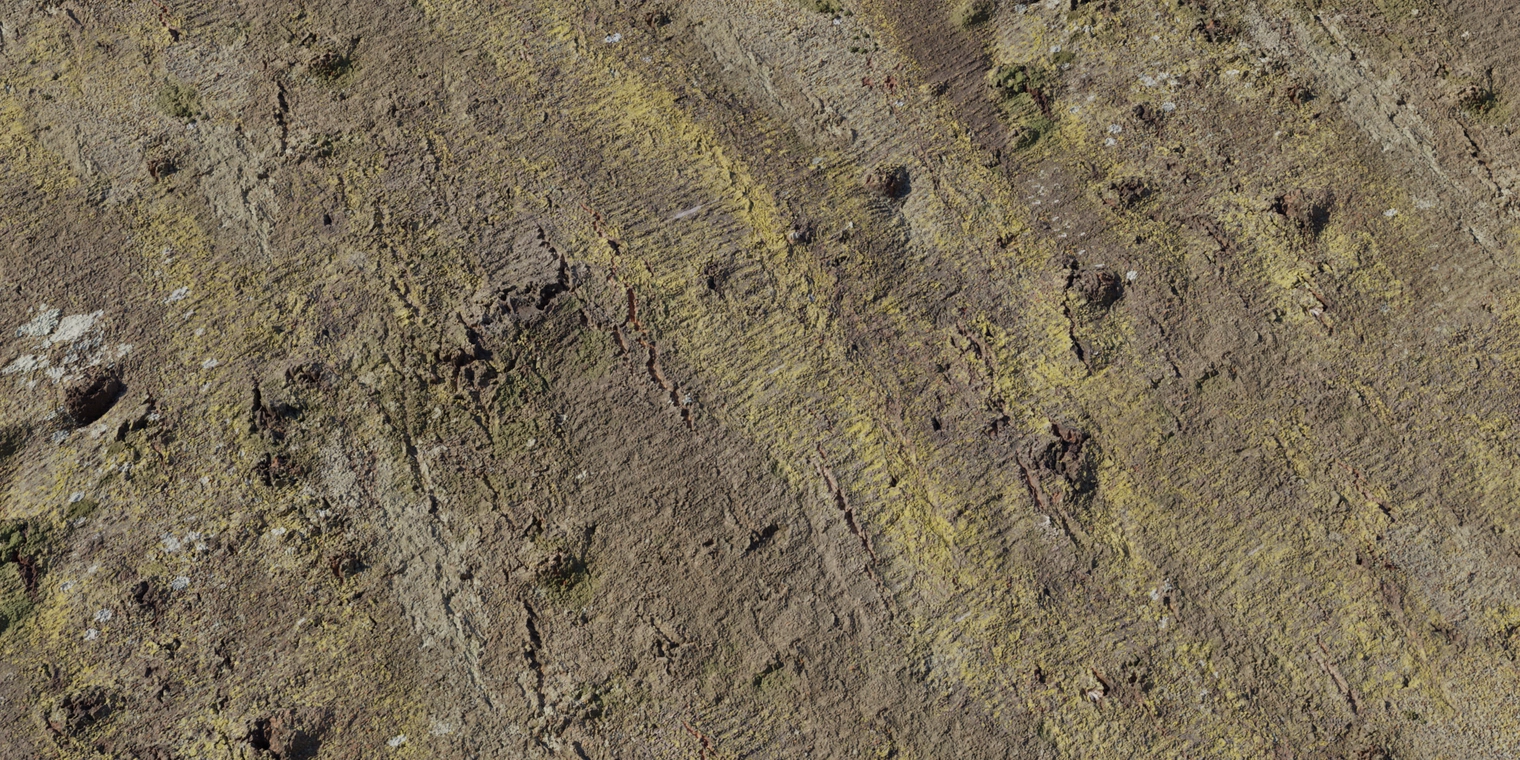 Free 8K texture of Japanese hackberry bark: rough, furrowed brown surface with yellow-green moss and lichen, knobbly nodules and fine cracks.