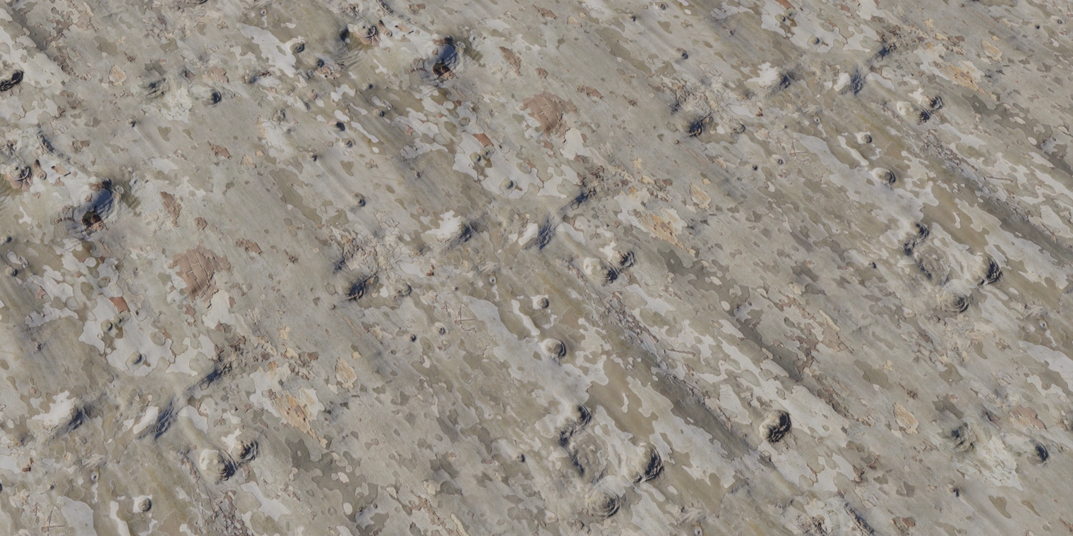 Free 16K texture of Japanese sycamore bark: dry, peeling, mottled pale-gray and tan surface with raised knots, flaking patches and subtle roughness.