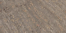 Japanese Zelkova Bark - Preview