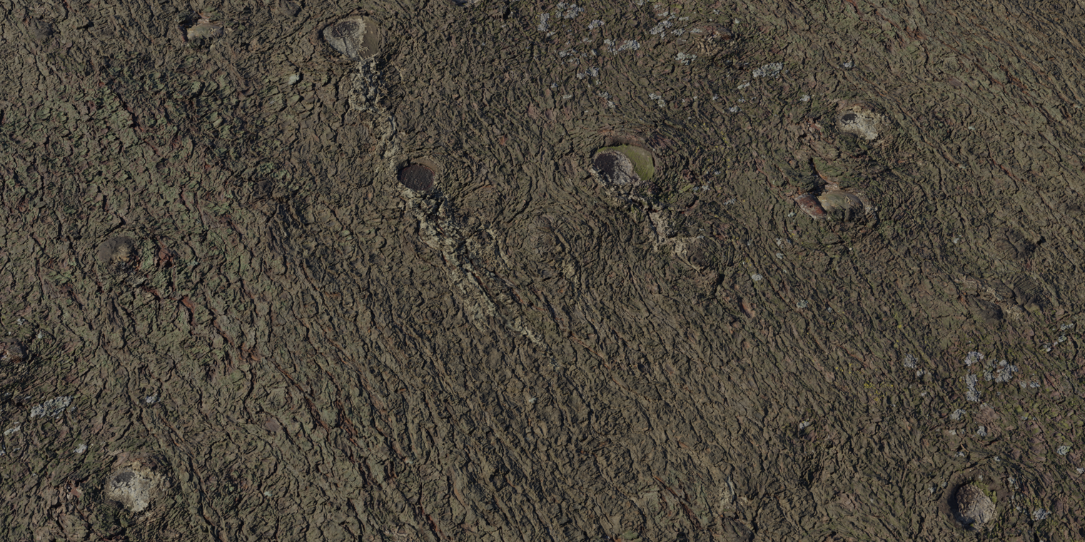 Free 8K texture: knotted pine bark with rough, fissured surface, prominent branch knots, healed stubs and subtle mossy green tones.