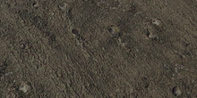 Knotted Pine Bark - Preview