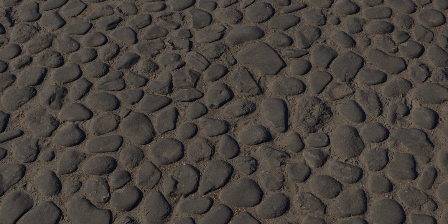 Free 8K texture of worn, dirty large pebbles - dark rounded stones set in compacted earth, rough bumpy surfaces, subtle wet sheen and dirt-filled joints.
