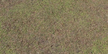 Leafy Grass - Preview