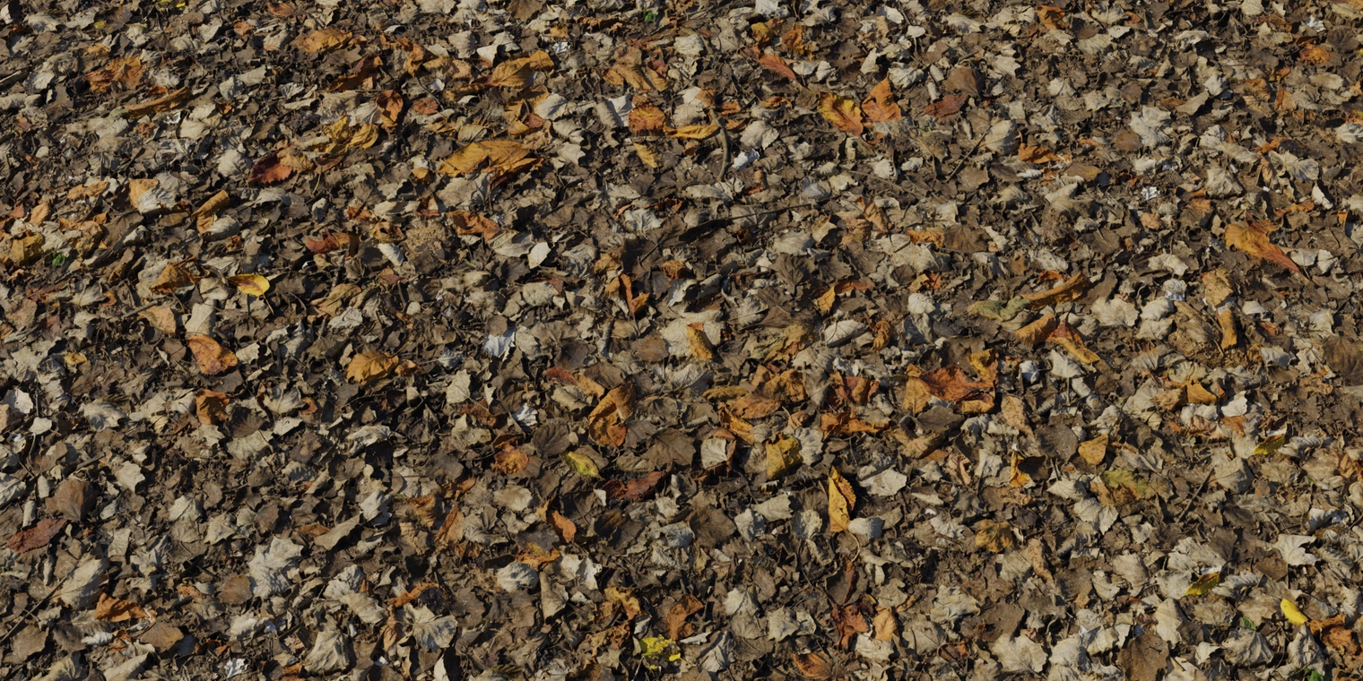 Free 8K texture of dense autumn leaf litter: layered brown, yellow and green leaves, twigs and soil with rough, highly detailed surface and natural depth.