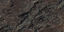 Lichen Rock - Preview