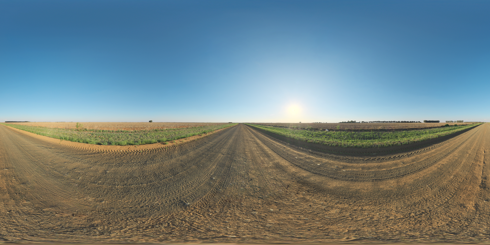 Lonely Road Afternoon